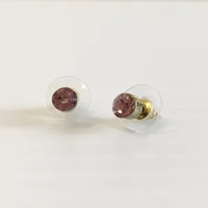 Fashion Accessories - Purple Stud Earrings